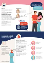 RHD non-invasive prenatal testing information brochure