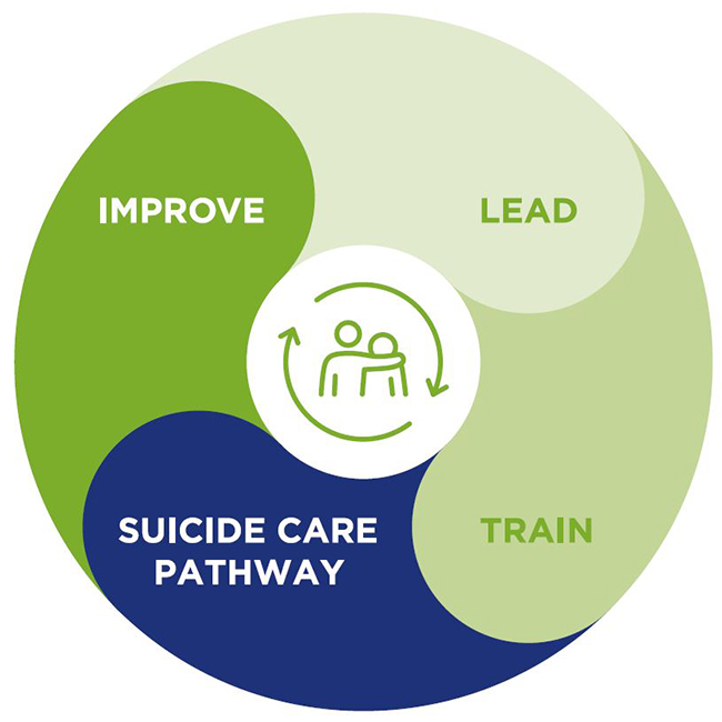 Improve, Lead, Train, Suicide Care Pathway