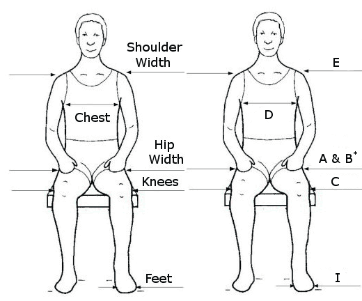 Body measurement from front