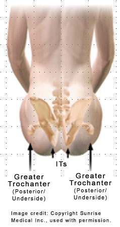 On this image Greater Trochanter and IT's location are shown on Posterior underside