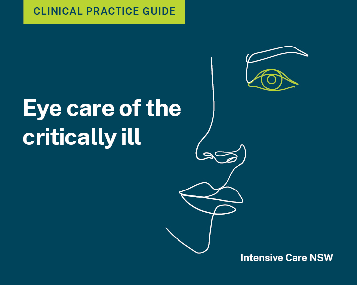 Eye care of the critically ill clinical practice guide